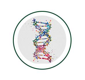 dna